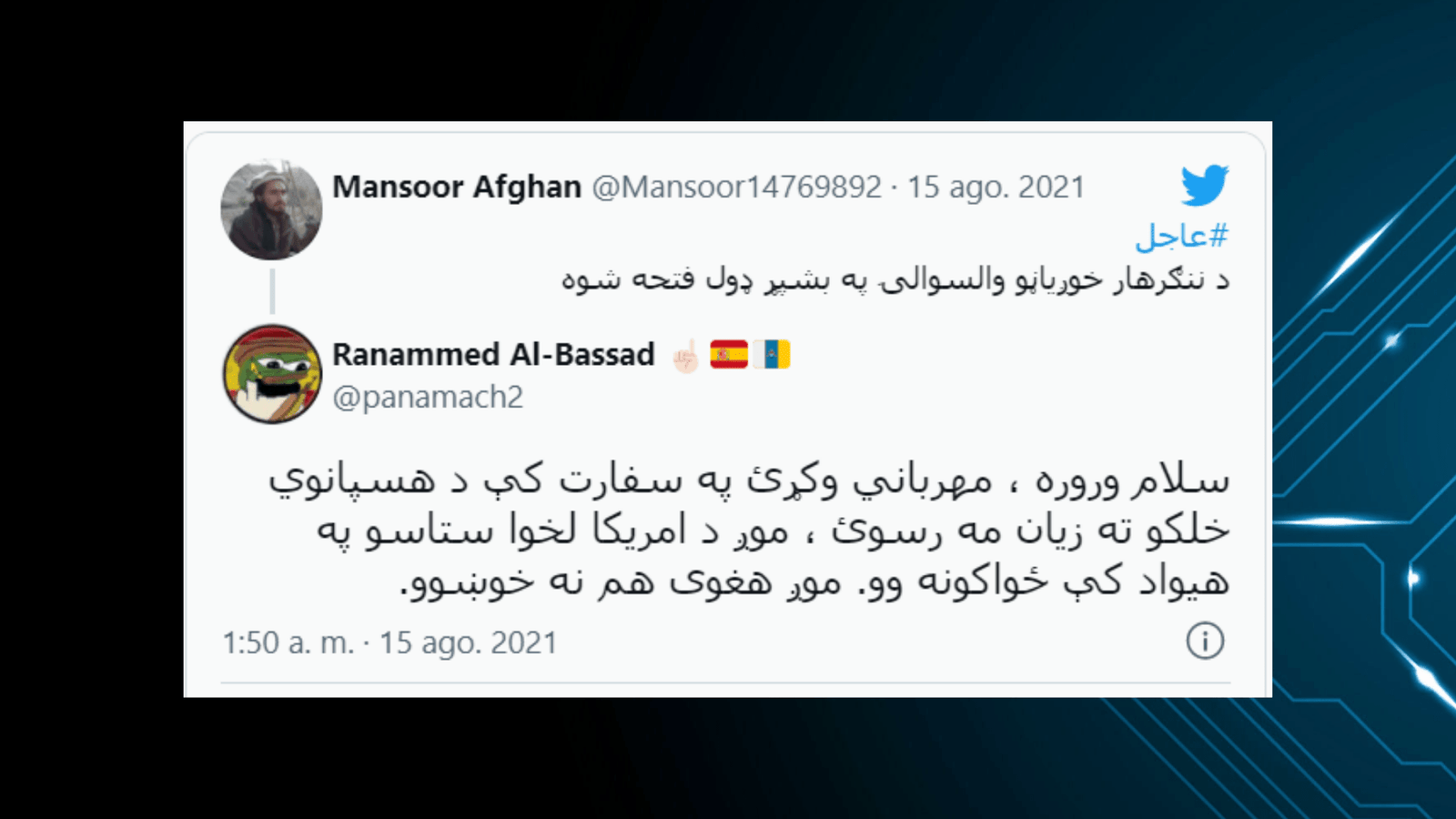 «Frog diplomacy»: un tuitaire negocia amb un portaveu talibà per Twitter